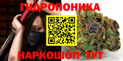 шишки Коммунар