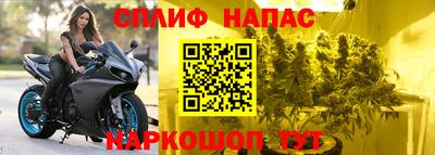 шишки Коммунар