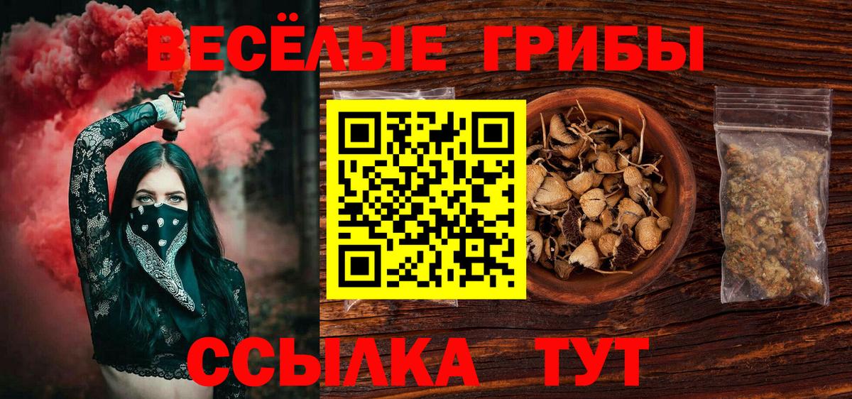 Галлюциногенные грибы мухоморы  Псилоцибиновые грибы мицелий  Татарск  Вход с VPN 